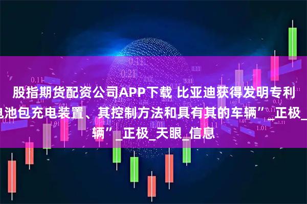 股指期货配资公司APP下载 比亚迪获得发明专利授权：“电池包充电装置、其控制方法和具有其的车辆”_正极_天眼_信息