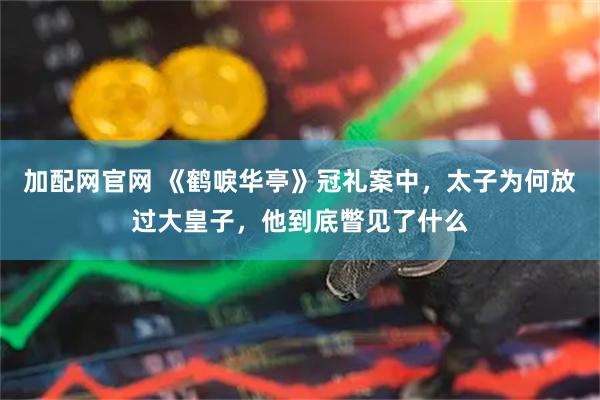 加配网官网 《鹤唳华亭》冠礼案中，太子为何放过大皇子，他到底瞥见了什么
