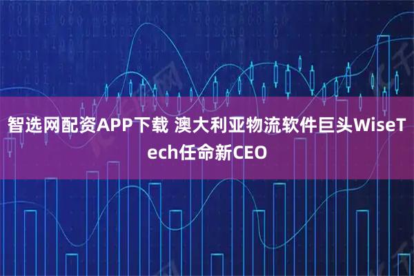 智选网配资APP下载 澳大利亚物流软件巨头WiseTech任命新CEO